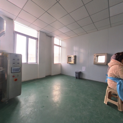 VR看厂