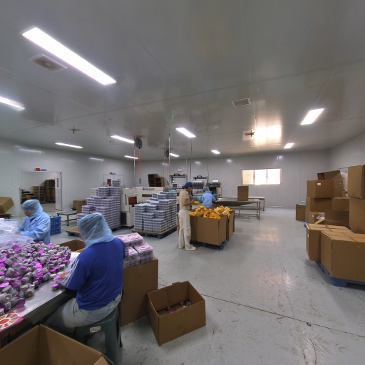 VR看厂