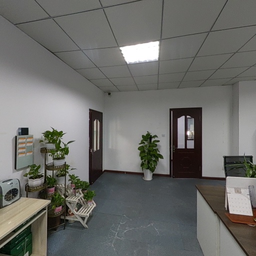 VR看厂