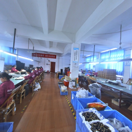 VR看厂