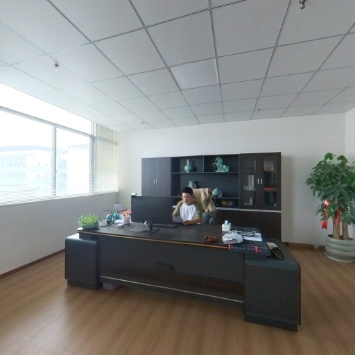 VR看厂