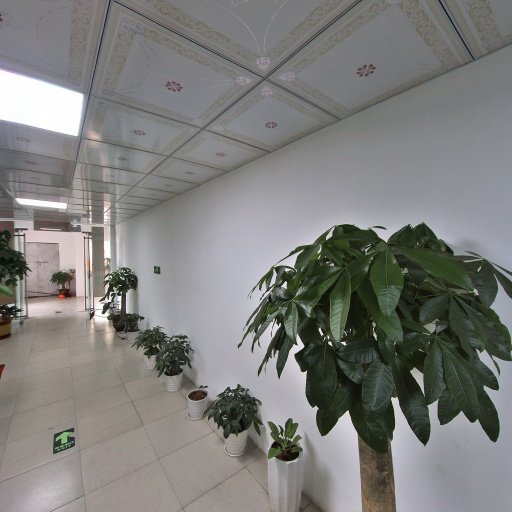VR看厂