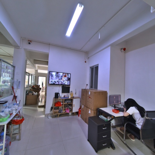 VR看厂