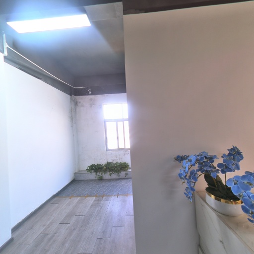 VR看厂