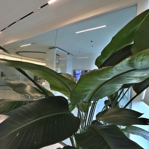 VR看厂