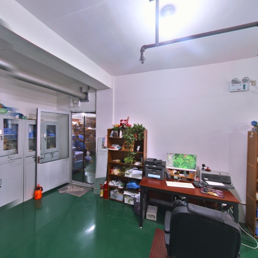 VR看厂