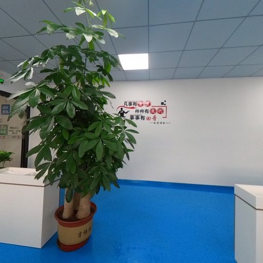 VR看厂