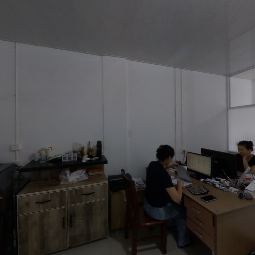 VR看厂
