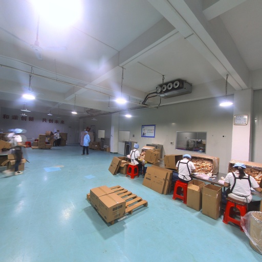 VR看厂