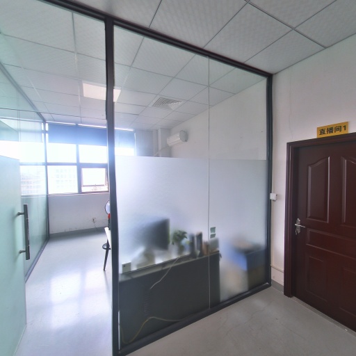VR看厂