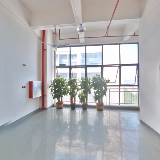 VR看厂