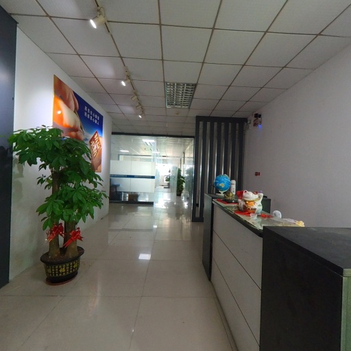 VR看厂