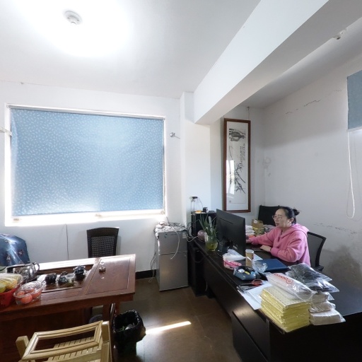 VR看厂