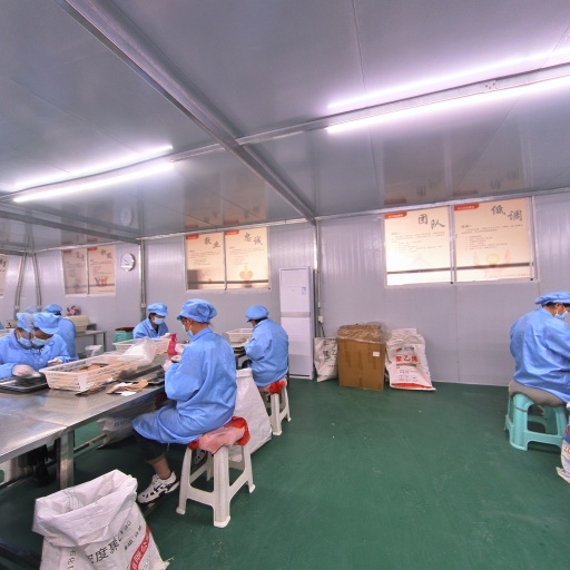 VR看厂