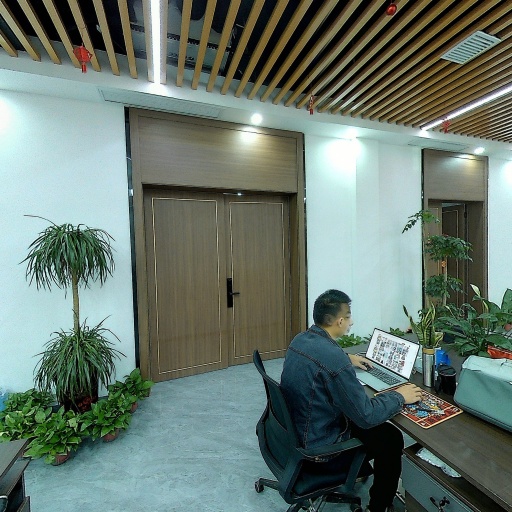 VR看厂