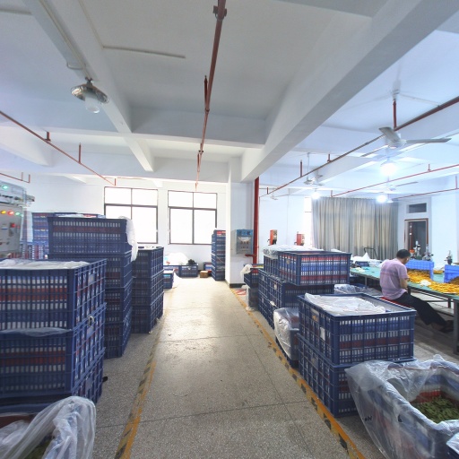 VR看厂