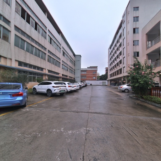 VR看厂