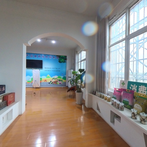 VR看厂