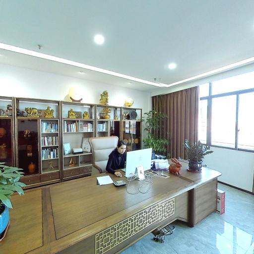 VR看厂