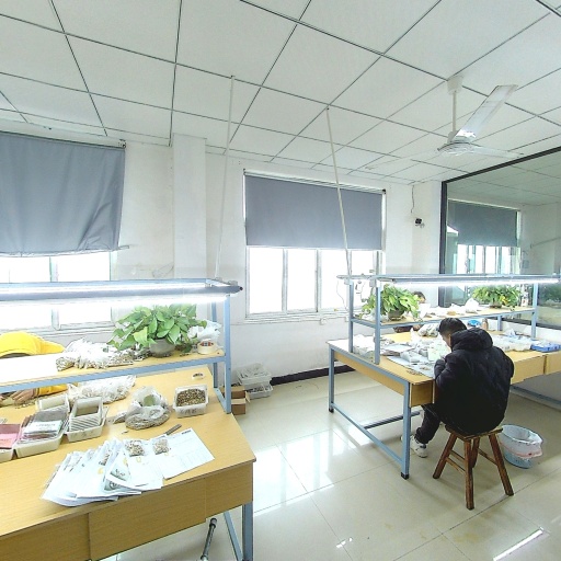 VR看厂