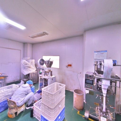 VR看厂