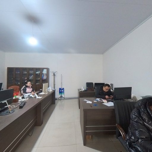 VR看厂
