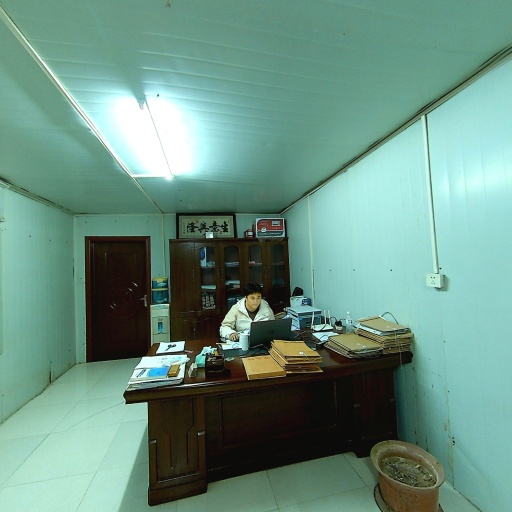 VR看厂