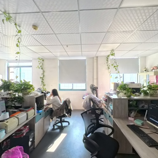 VR看厂