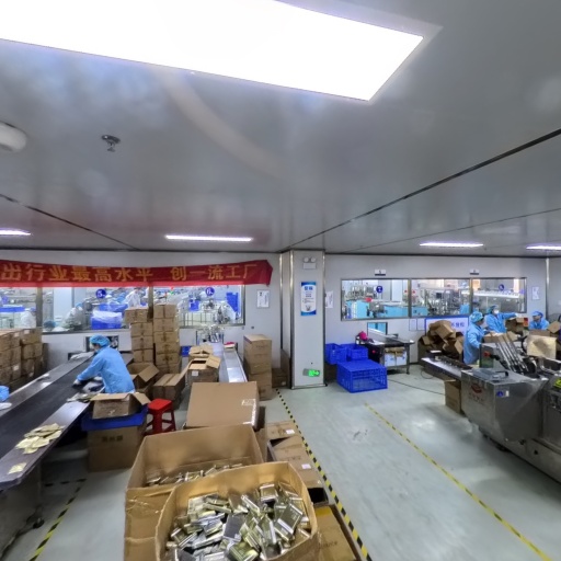 VR看厂