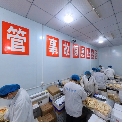 VR看厂