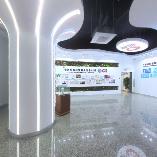 VR看厂