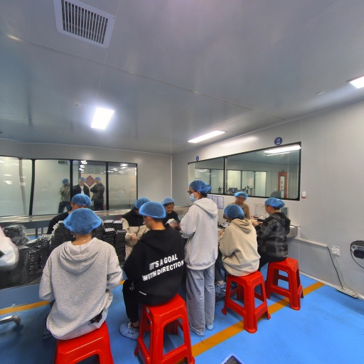 VR看厂