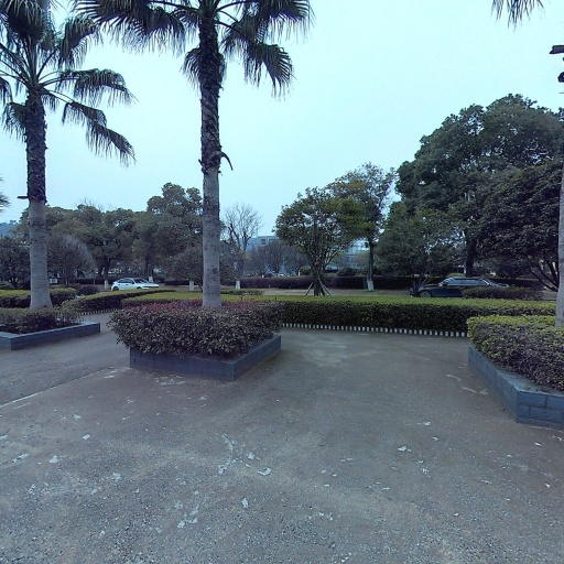 VR看厂