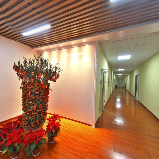 VR看厂