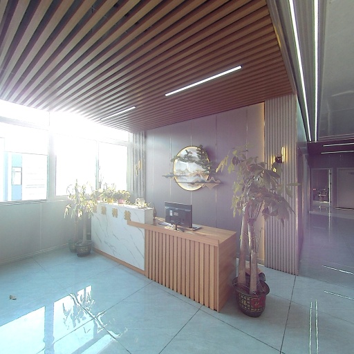 VR看厂