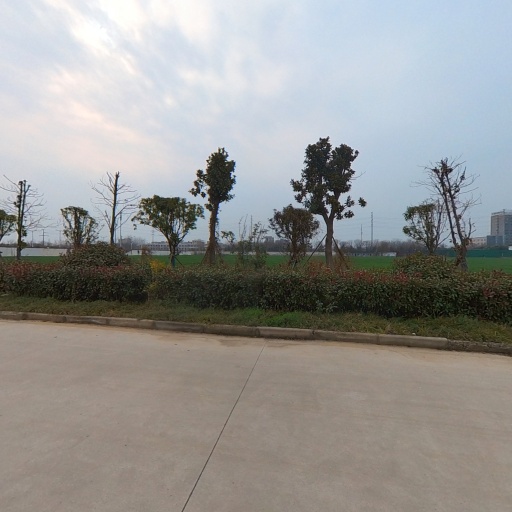 VR看厂
