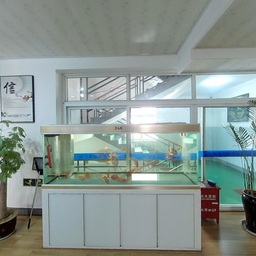 VR看厂
