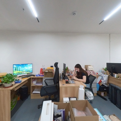 VR看厂