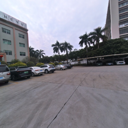 VR看厂