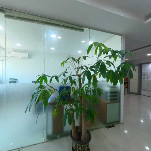 VR看厂