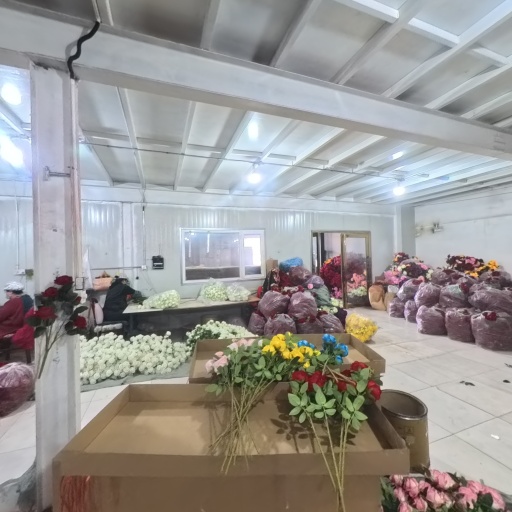 VR看厂