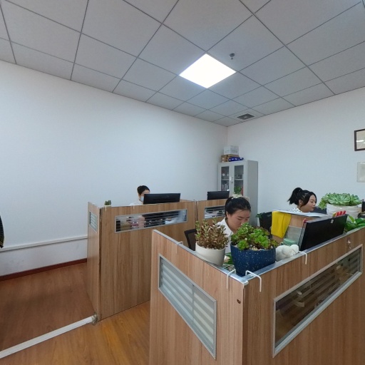 VR看厂