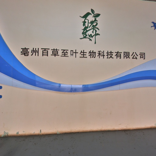 VR看厂