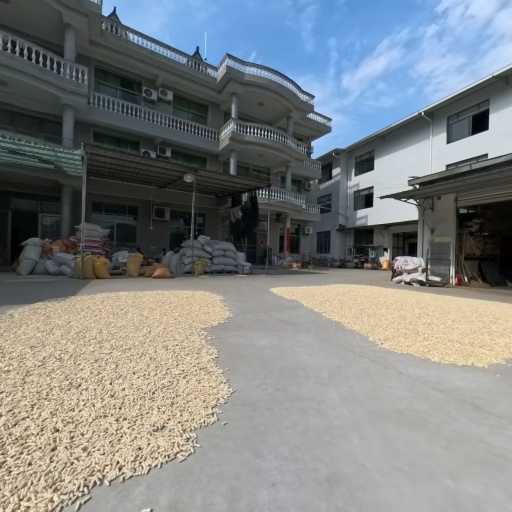 VR看厂