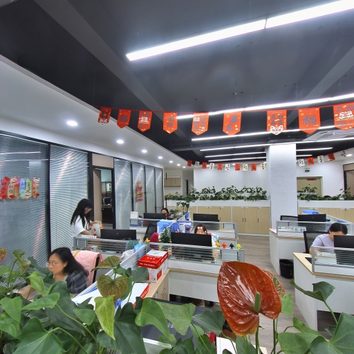VR看厂