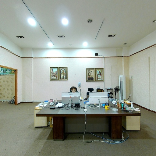 VR看厂
