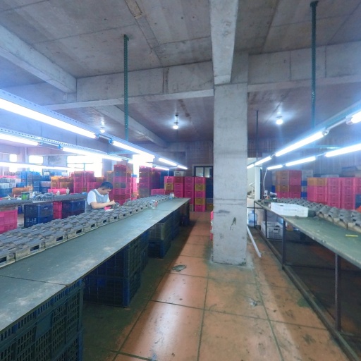 VR看厂