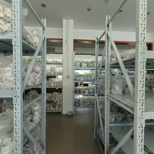 VR看厂