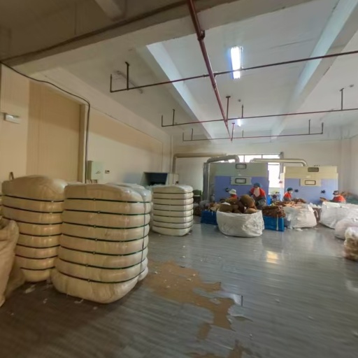 VR看厂
