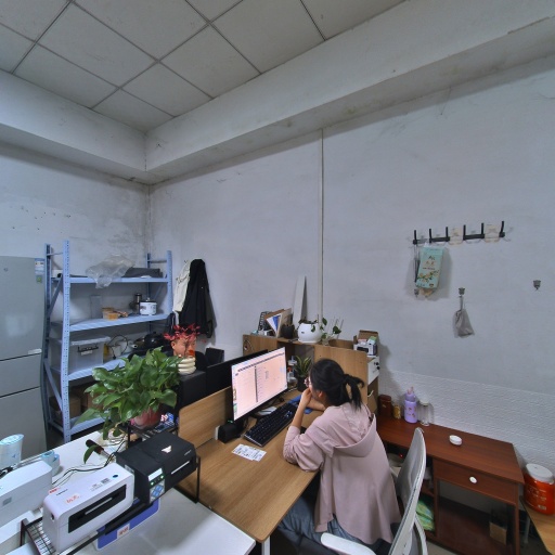 VR看厂